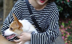 黑道学生5 txt全集下载